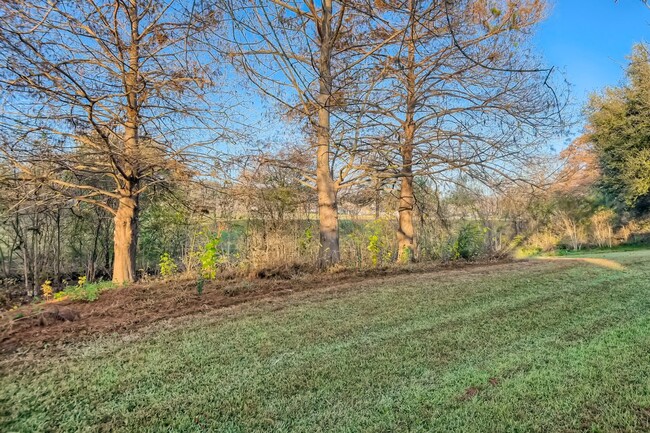 Building Photo - Beautiful 3/2 on Greenbelt (Inquire for Av...