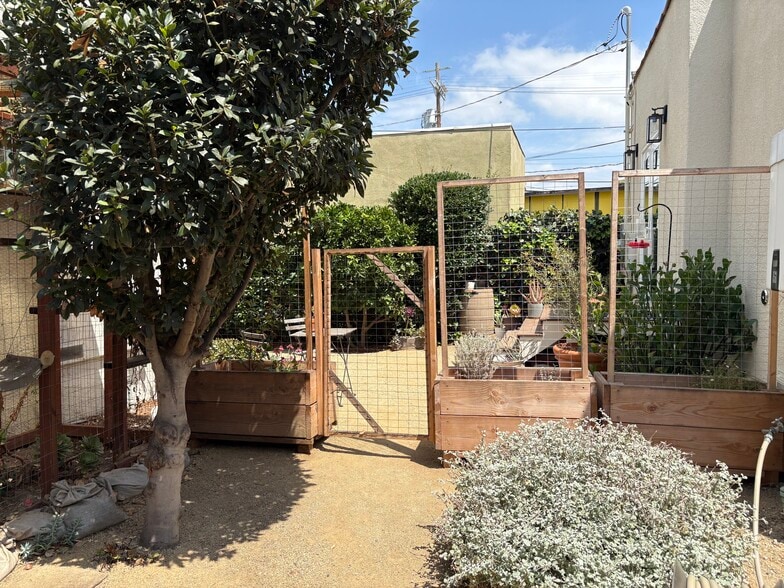 Backyard planters - 3425 Buckingham Rd