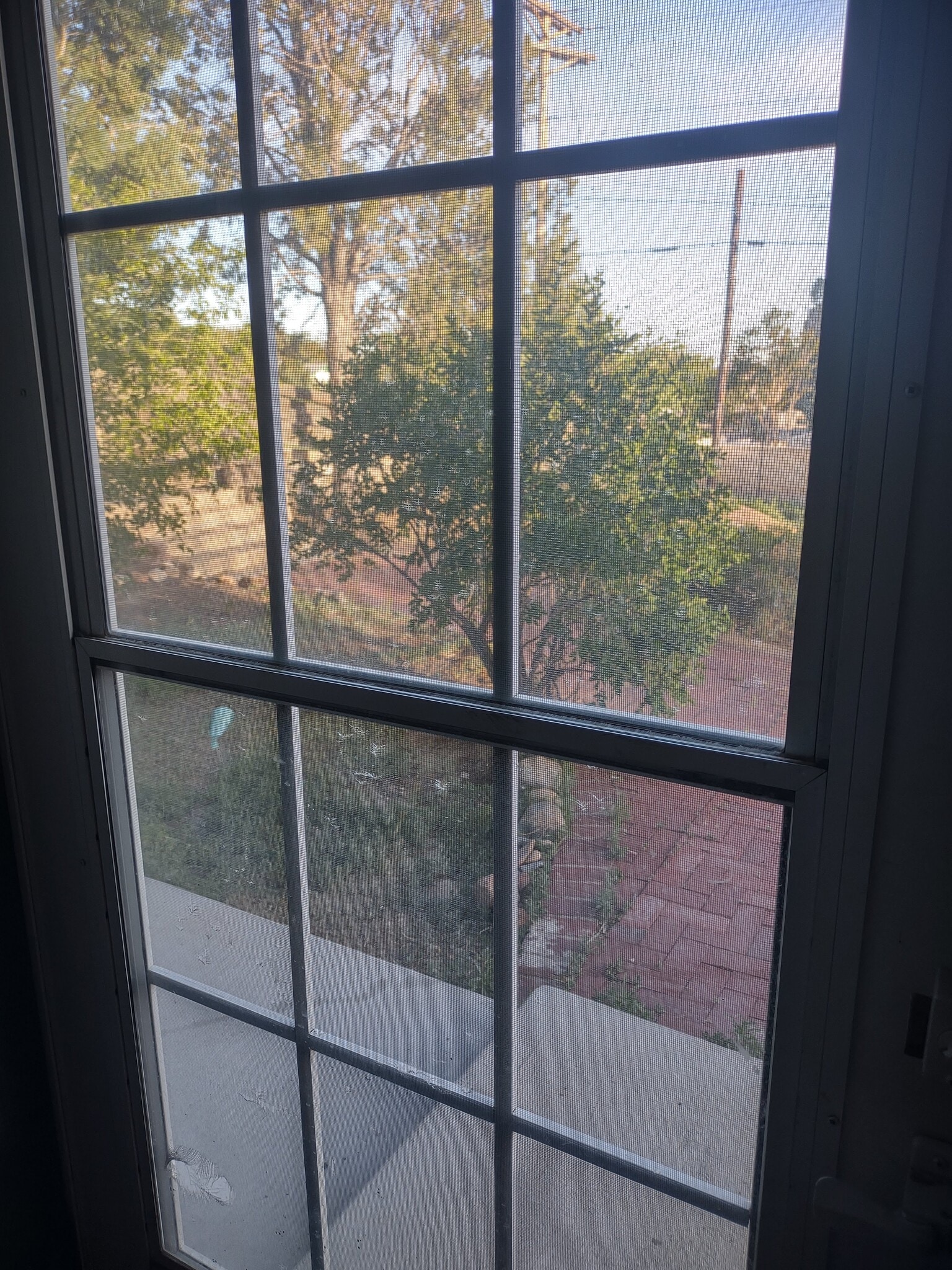 Building Photo - 700 W 17th St