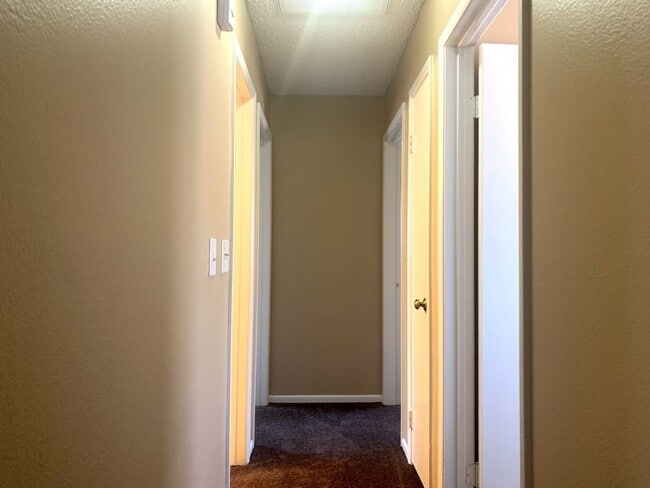 Building Photo - Check out this Freshly Painted and New Flo...