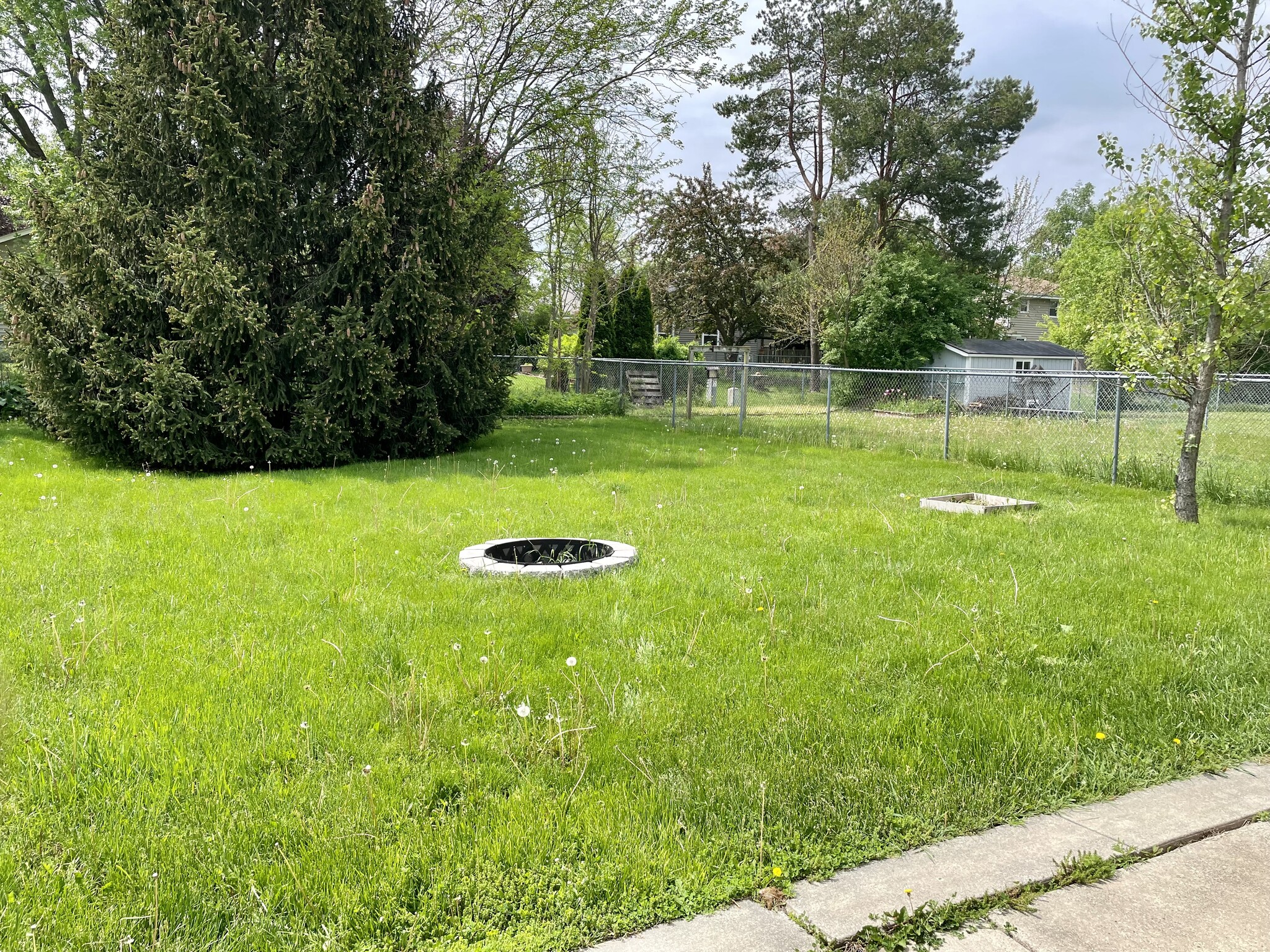 Fenced Backyard - 625 Edmund St