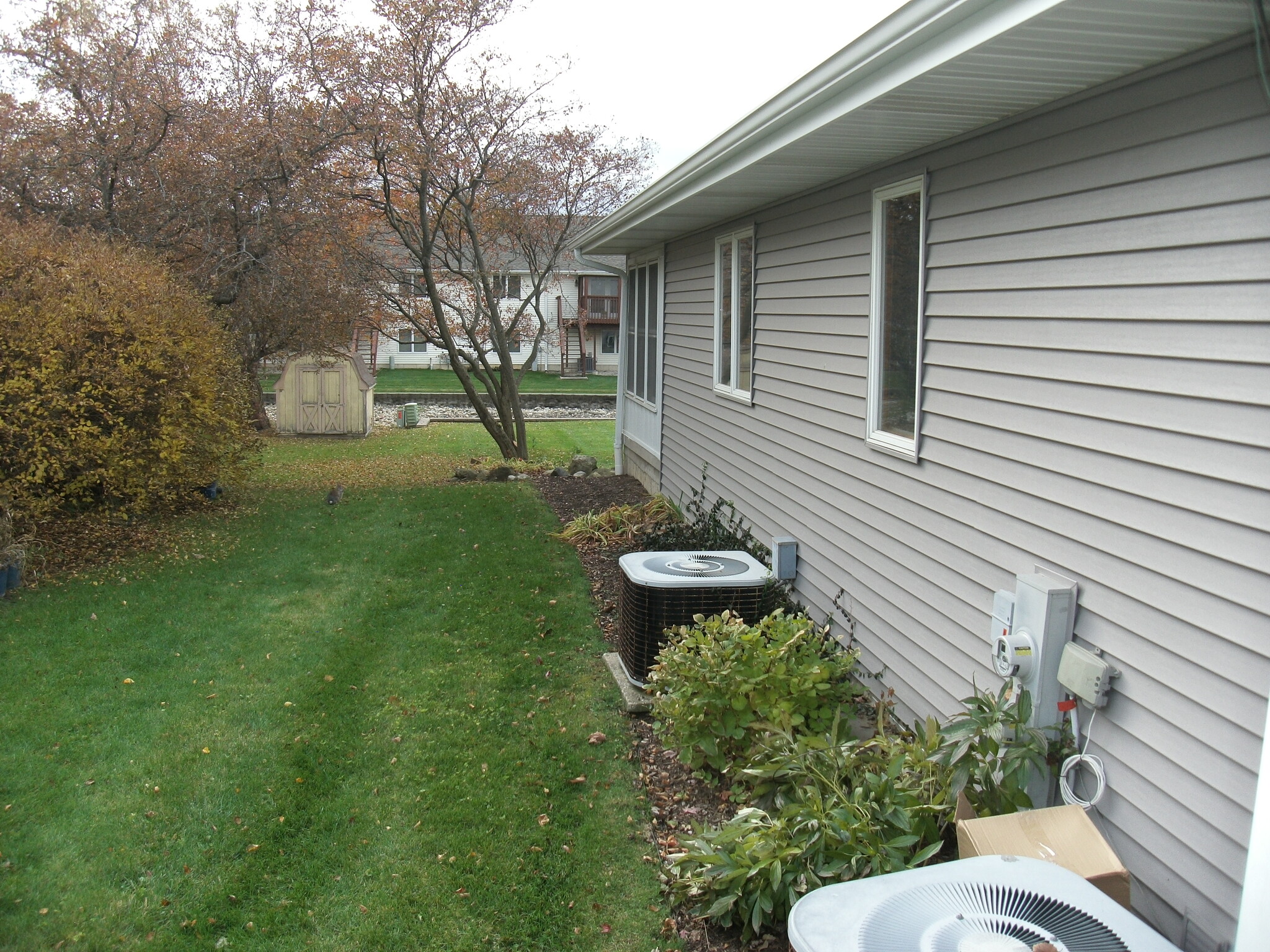 Side yard - 11313 Douglas Ave
