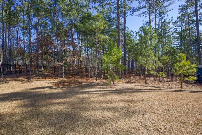 Building Photo - Charming 4 Bedroom Rental Home with Spacious Layout in Carthage, NC!