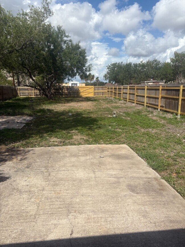 Back Yard - 529 E Williamson Ave