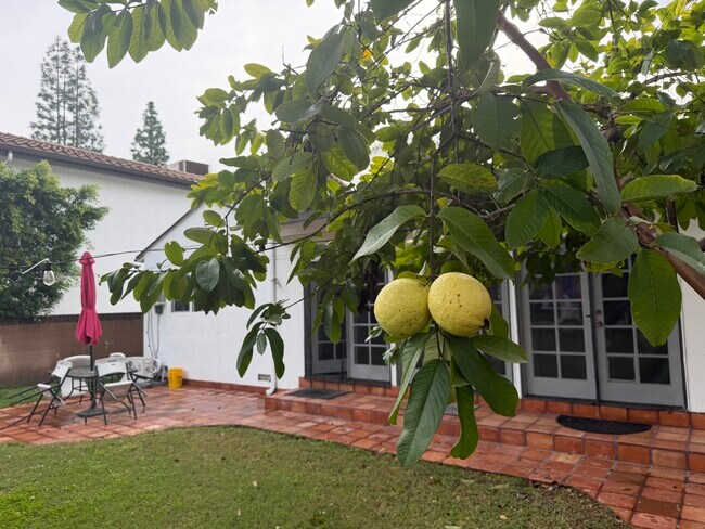 Building Photo - 12619 Emelita St