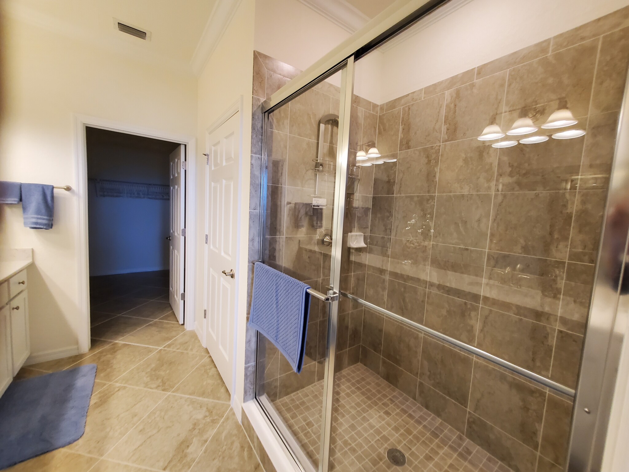 Master Bathroom - 11781 Grand Belvedere Way