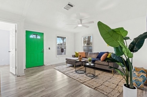 Building Photo - newly remodeled 4-bedroom, 2-bathroom home...
