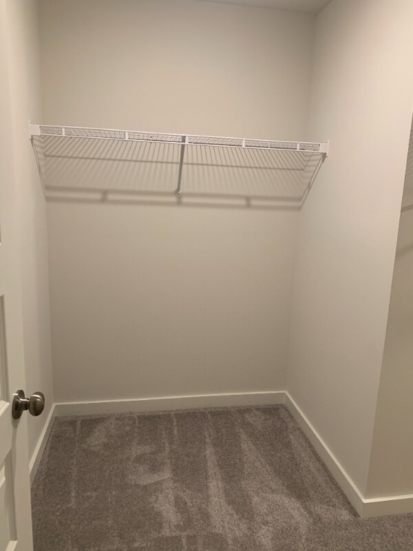 Building Photo - 2620 Comanche Ct