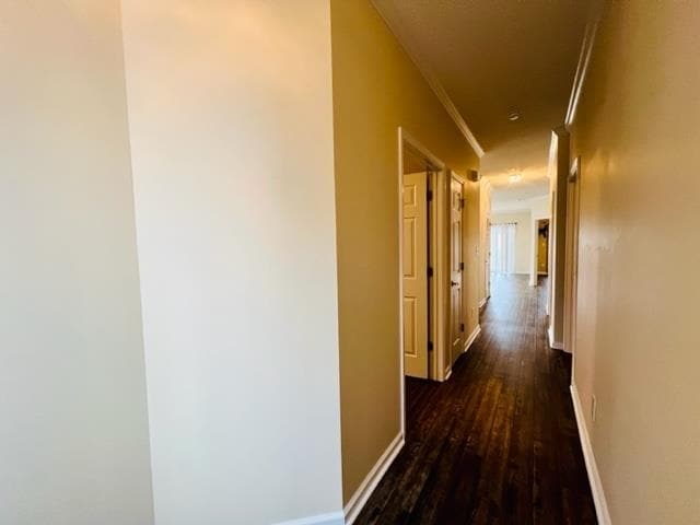 Building Photo - 1522 Lanterns Rest Rd