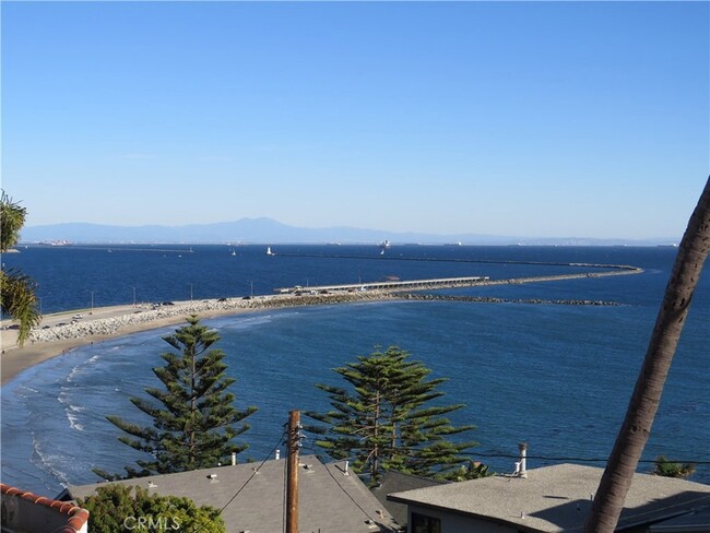 Building Photo - 3935 Bluff Pl