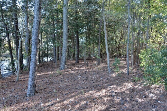 Building Photo - Beautiful Poquoson Home.