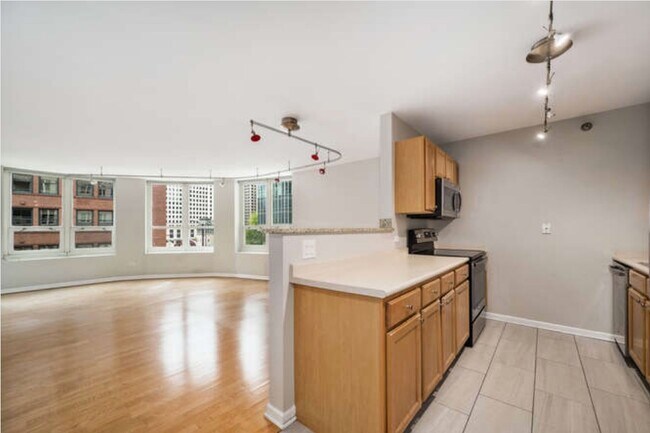 Building Photo - 345 N LaSalle St