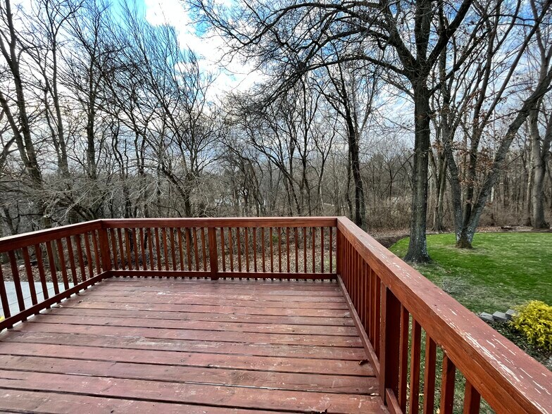 Backyard Deck - 880 Lester Ave