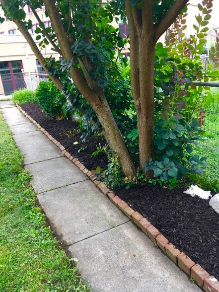 Backyard Path - 343 College Ave