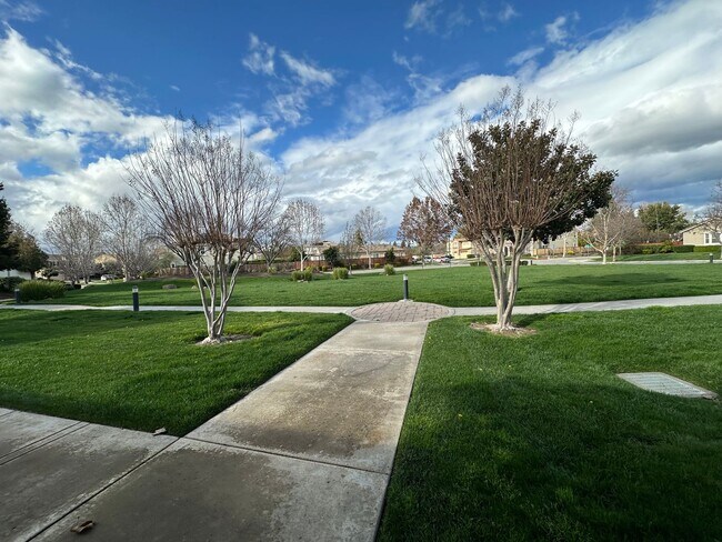 Building Photo - 3603 Fieldview Ct