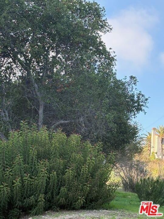 Building Photo - 777 El Medio Ave