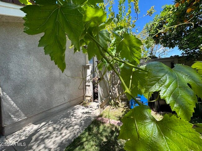 Building Photo - 609 Via Novella