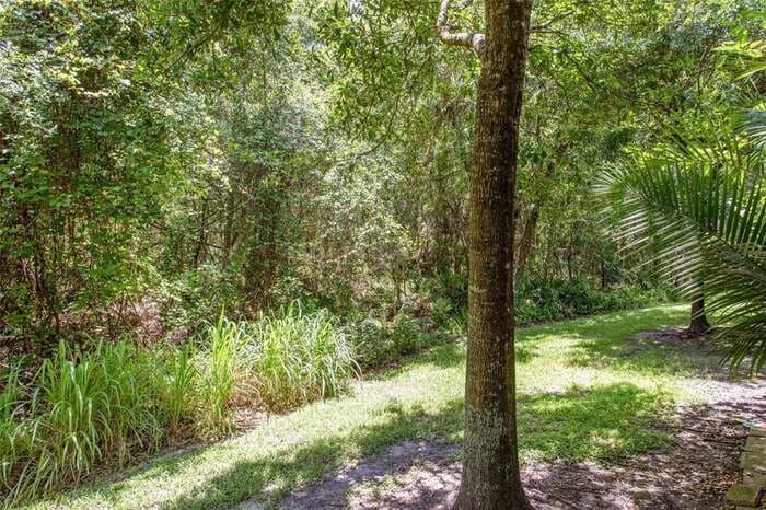 Back Yard - 9412 Charlesberg Dr