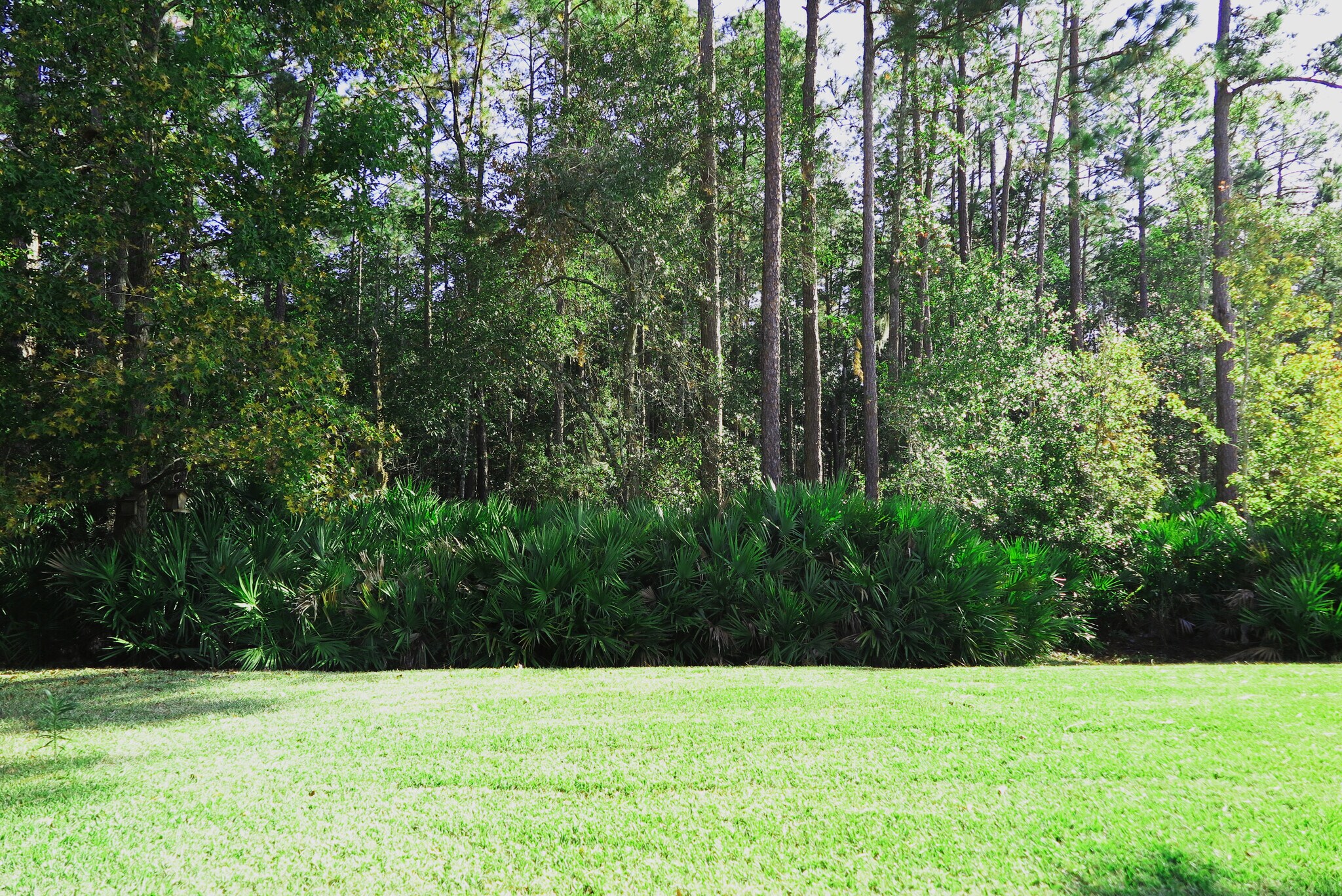 Preserve View - 437 Lake Monroe Pl