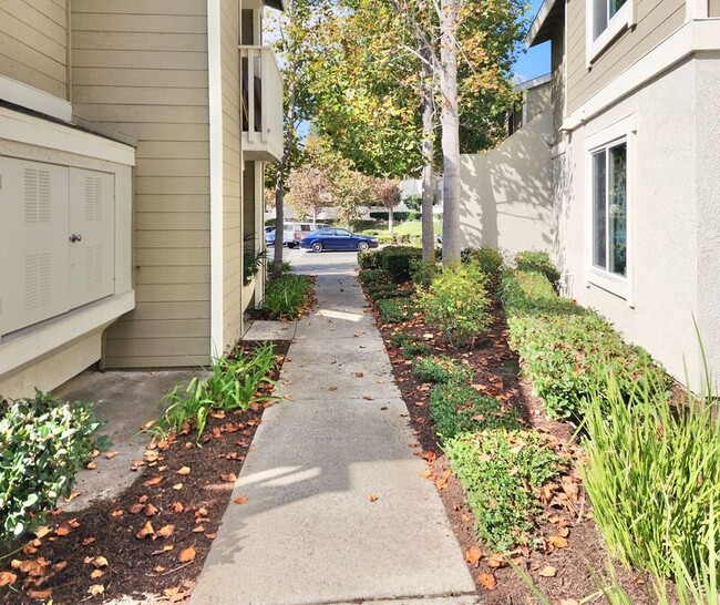 Building Photo - 26316 Los Viveros