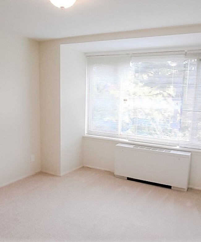 Building Photo - Large & Sun-Filled 1 Bedroom 1 Bathroom Co...