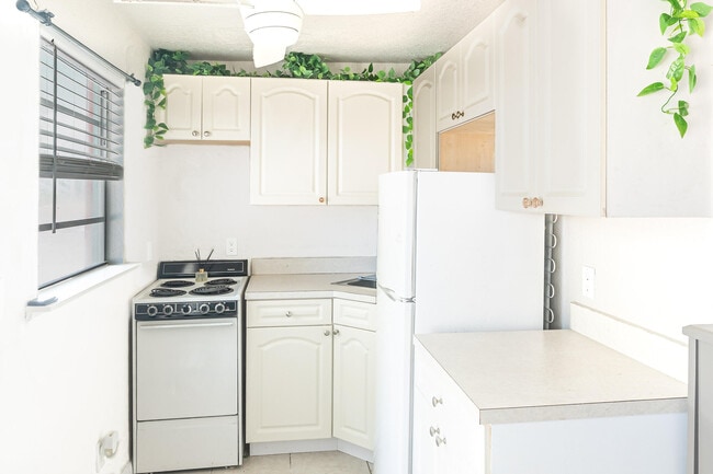 Building Photo - 205 Coral Rd