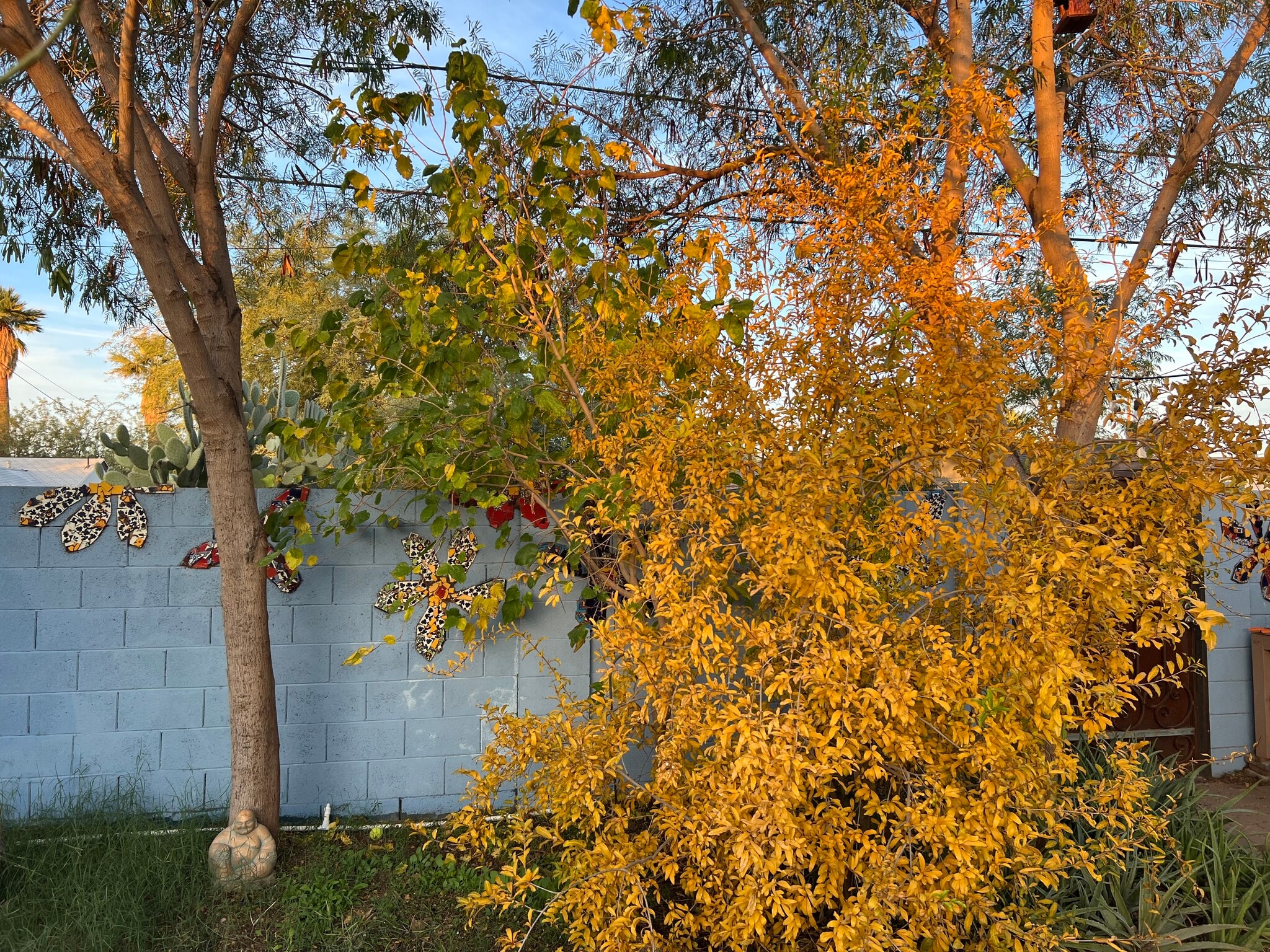 Building Photo - 2232 N Evergreen St