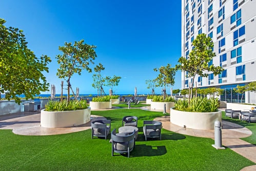 Building Photo - 988 Halekauwila St