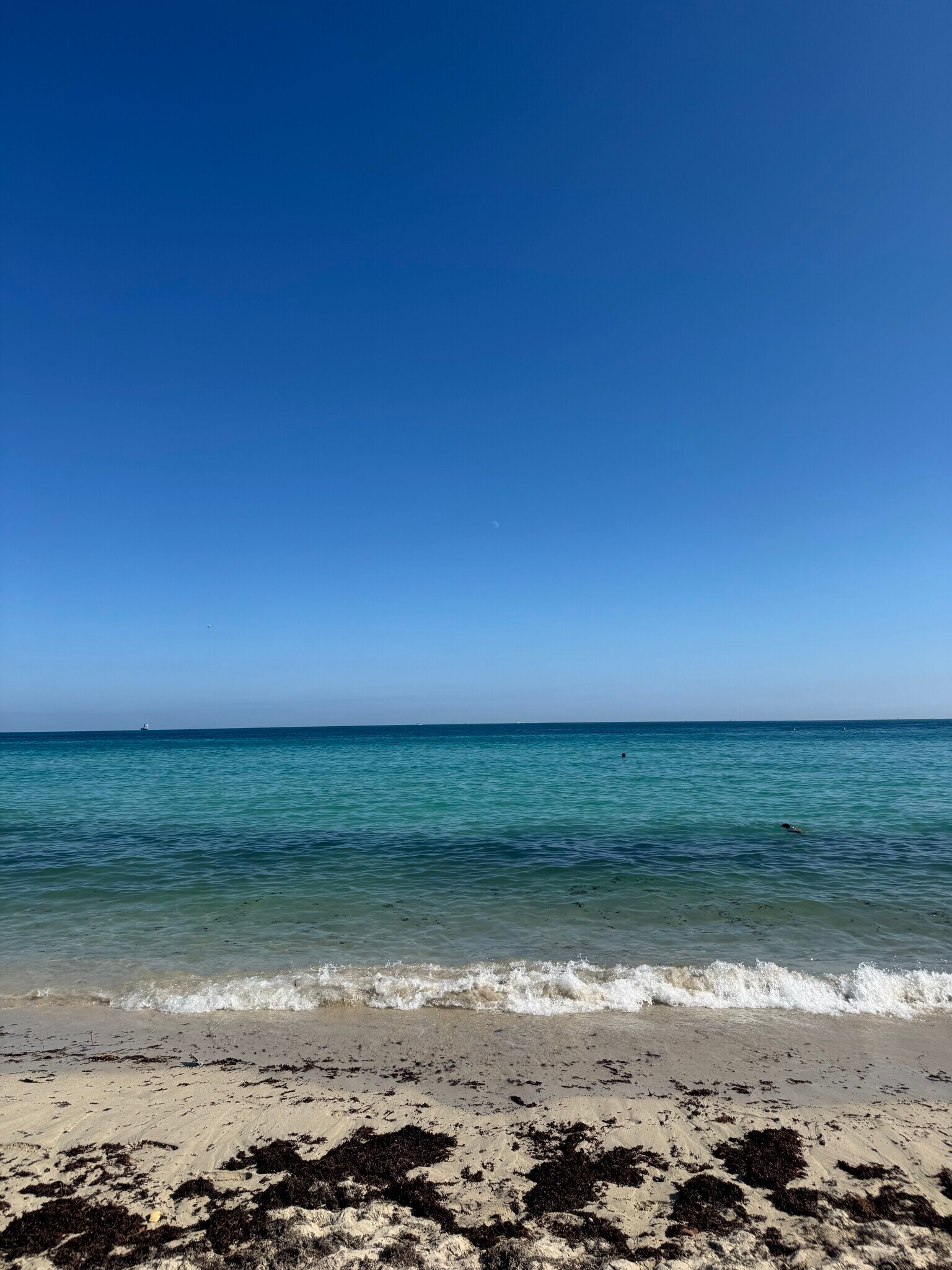 Building Photo - 220 Collins Ave