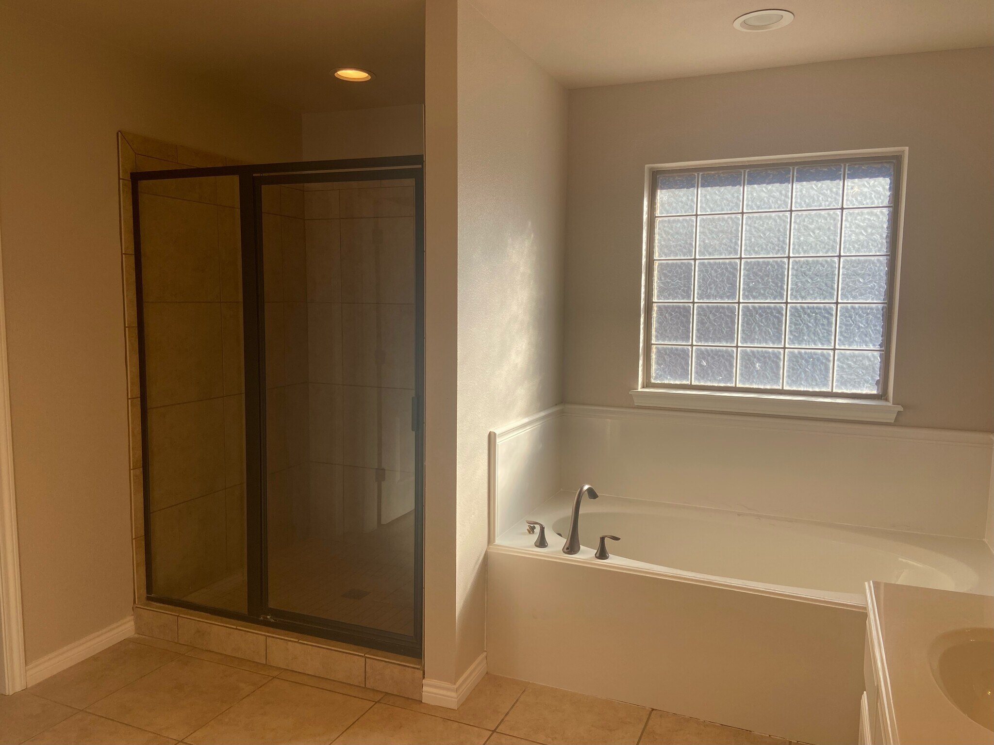 Large Tub and Large Walkin Shower - 3620 106th St