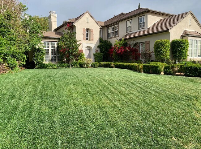 Building Photo - 26803 Mont Calabasas Dr