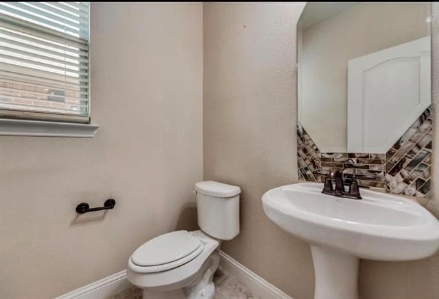 Building Photo - 3716 Cameroon Ln