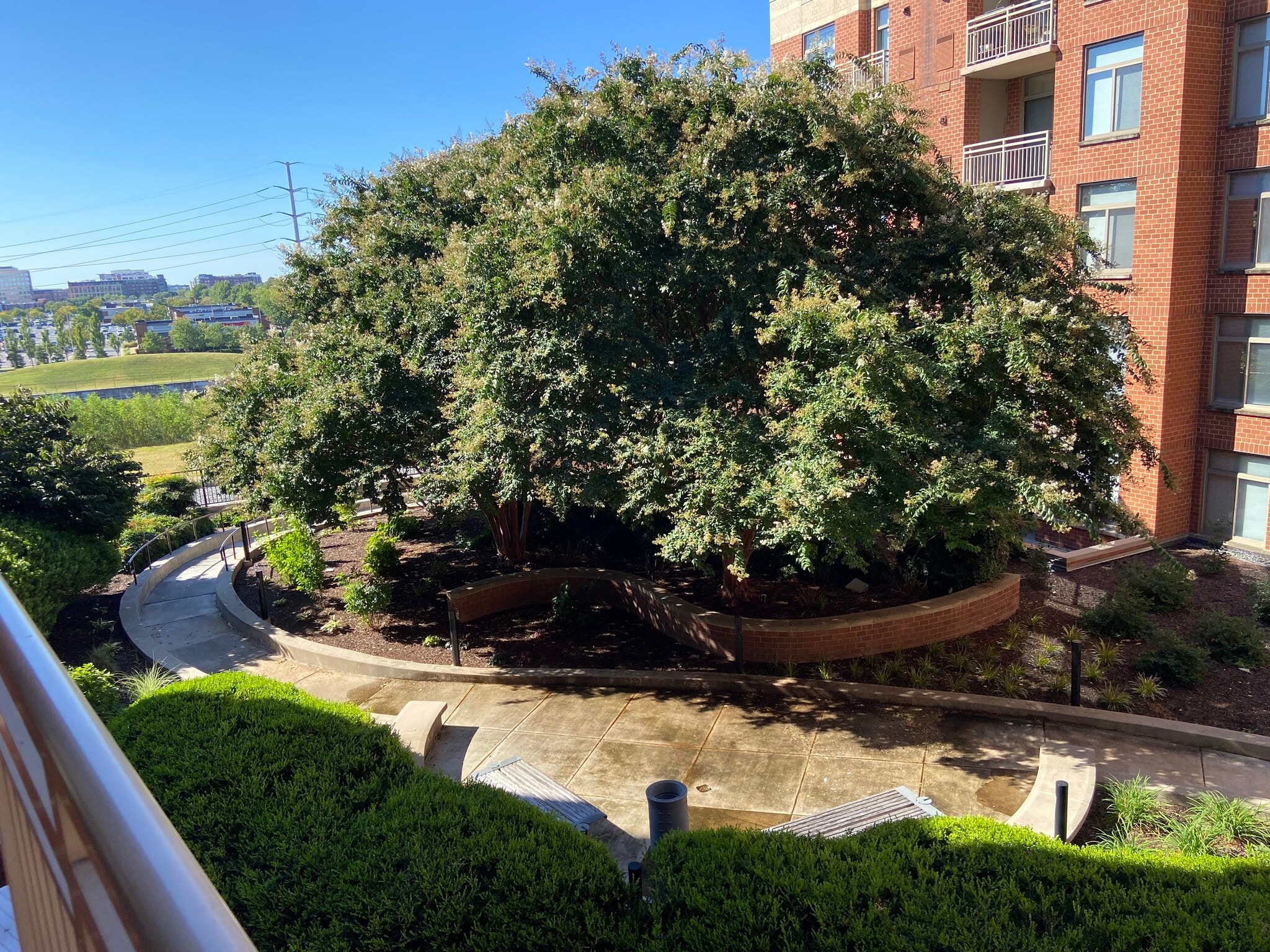 Building Photo - 3600 S Glebe Rd