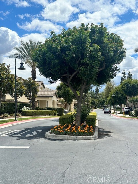 Building Photo - 1646 Palermo Dr