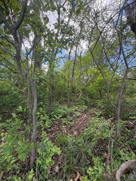 Building Photo - 289 Walsh Ln
