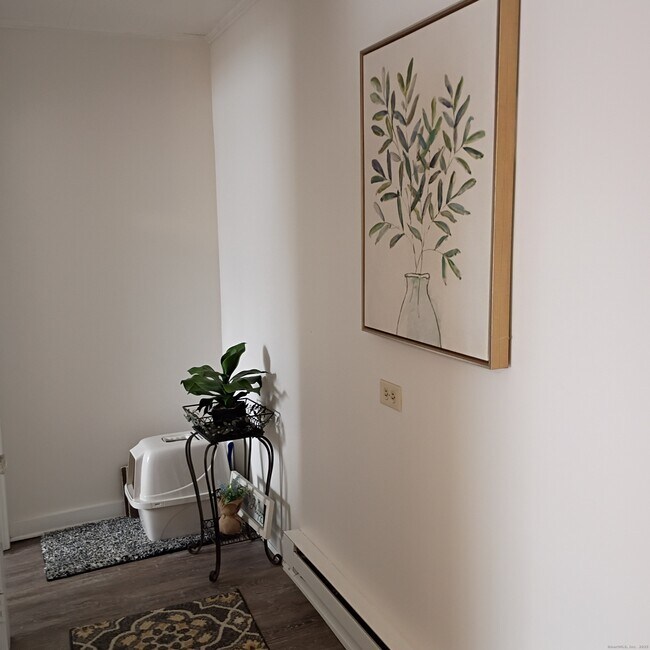 Building Photo - 59 View St