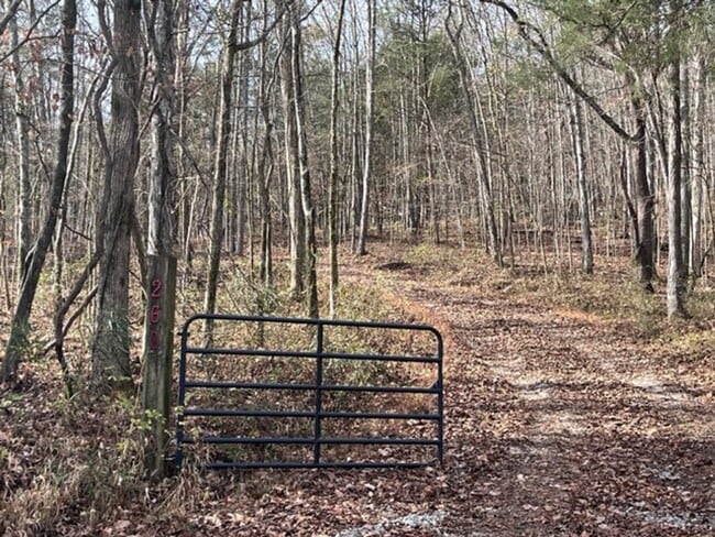 Building Photo - Rustic Country Home on 35 Acres in Bethpage, TN