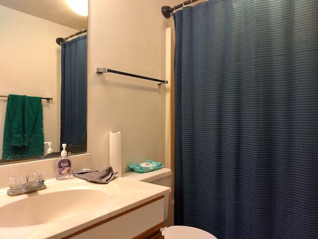 Building Photo - Spacious 2bd/2ba in Williamsburg