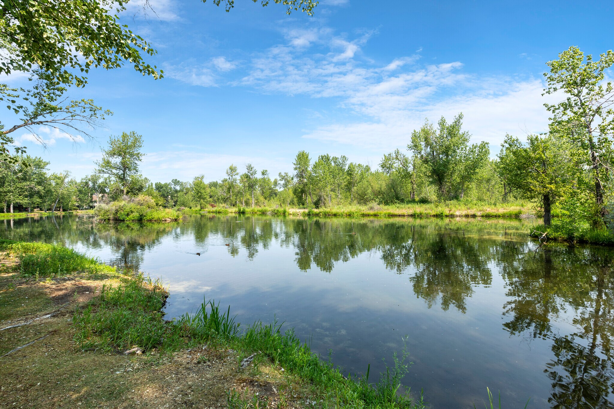 Building Photo - 1923 S Teal Ln