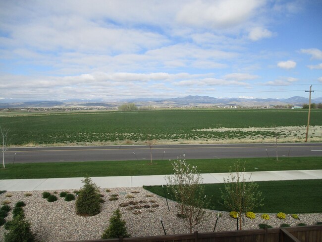 Building Photo - Brand New Berthoud Property facing the Mou...