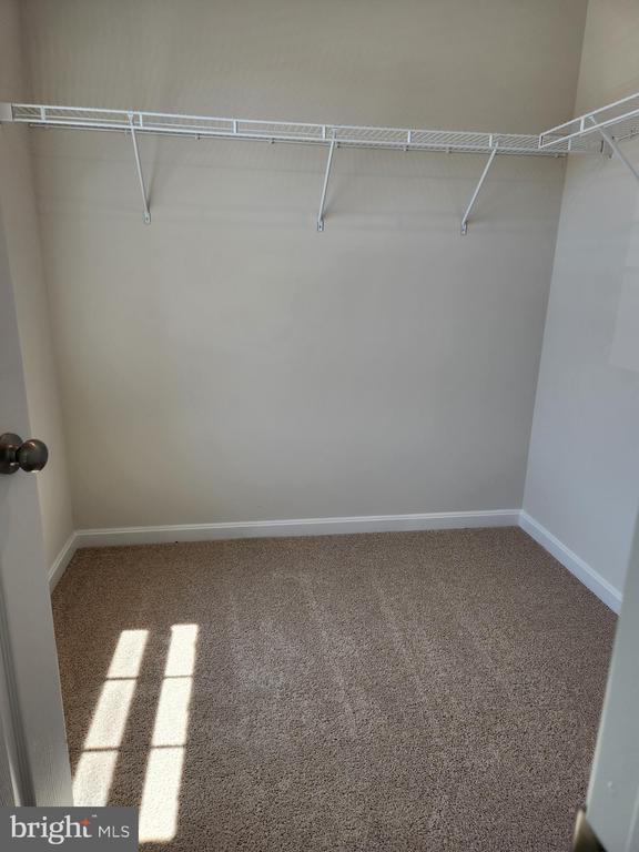 Building Photo - 115 Rae Ct