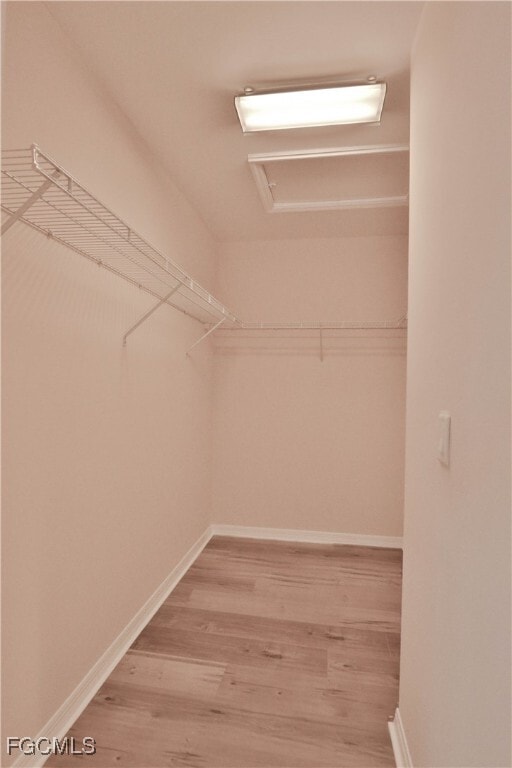 Building Photo - 10231 Tin Maple Dr
