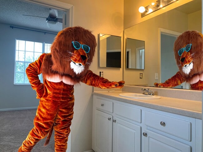 Building Photo - 2005 Mariposa Vista Ln