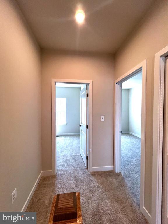 Building Photo - 10913 Blanton Wy