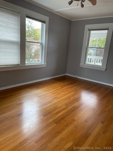 Primary Photo - 175 Prospect St