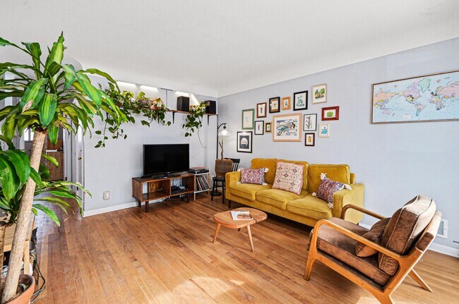 Building Photo - 924 Lutz Ave