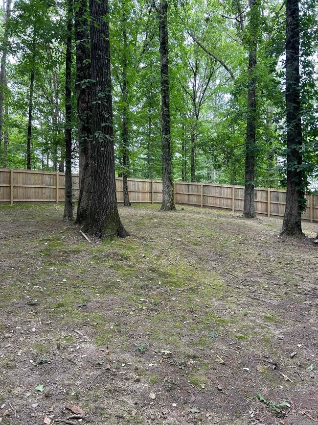 Building Photo - 428 Plum Hollow Blvd