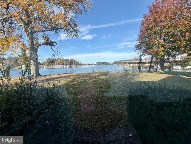 Building Photo - 48600 Deep Cove Ln