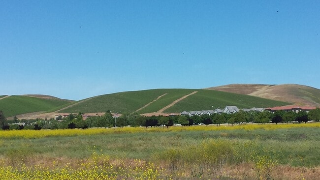 Building Photo - Charming 2BD/2BA Livermore Copper Hill Con...