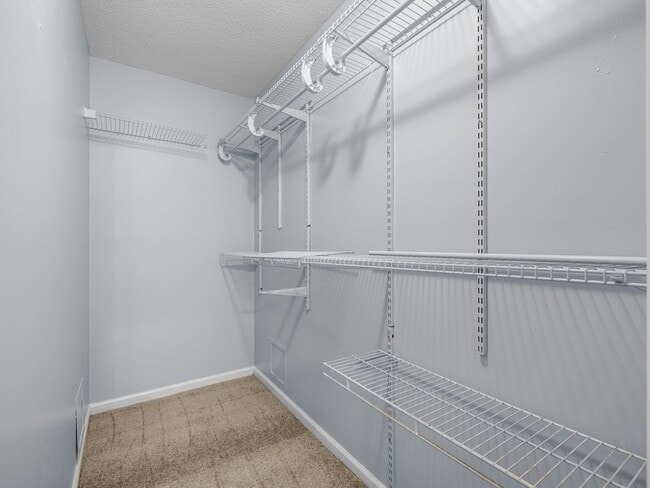 Building Photo - Beautiful 4 Bedroom Home with Bonus Room and Fenced Yard